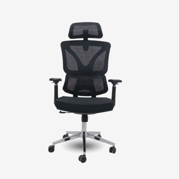 Elite Ergonomic High Back Mesh Chair – Chrome Base