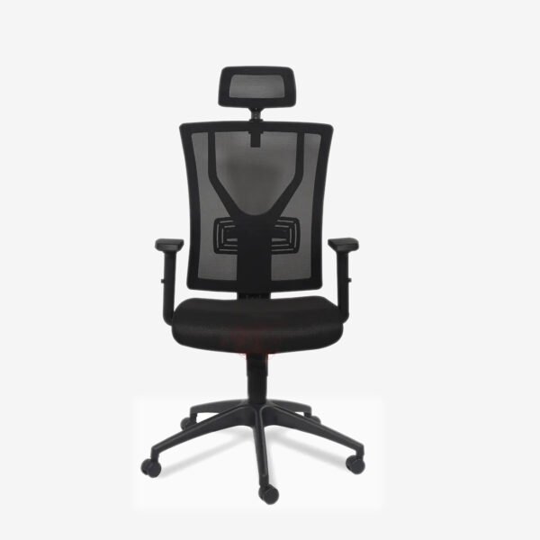 Ergonomic High-Back Mesh Office Chair with Adjustable Headrest 37RC